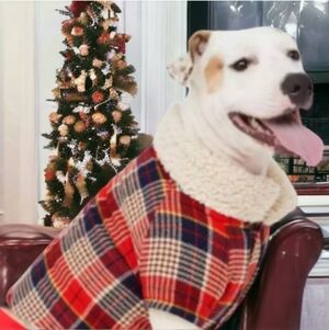 Nwt Off leash by Aerie Red Plaid Sherpa Dog Shirt Sz Large